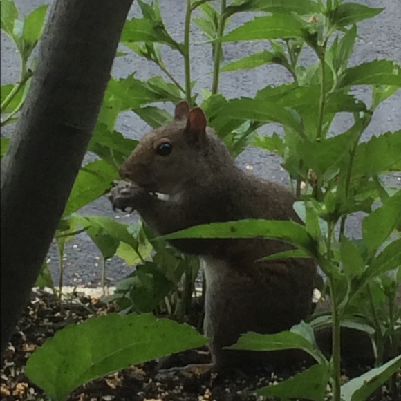 Meet your Posher, Chloe K - Picture 3 of 3